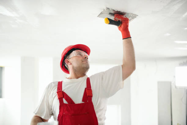 Best Repainting for Renovations  in Ajo, AZ